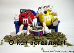 Аватара пользователя