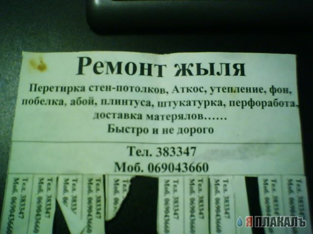 1144317667.jpg