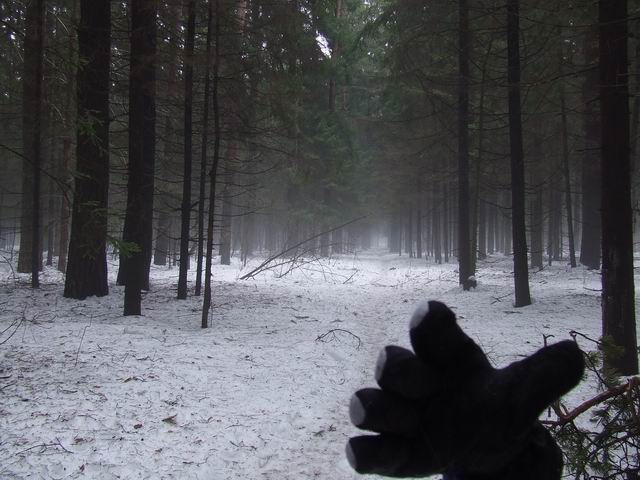 Изменение размера 2006_04020012.JPG