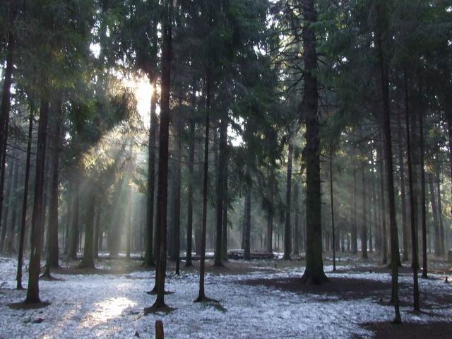 Изменение размера 2006_04170030.JPG