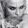 00.gif