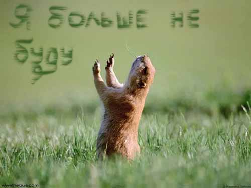 www_bibka_ru_2006013120358.jpeg