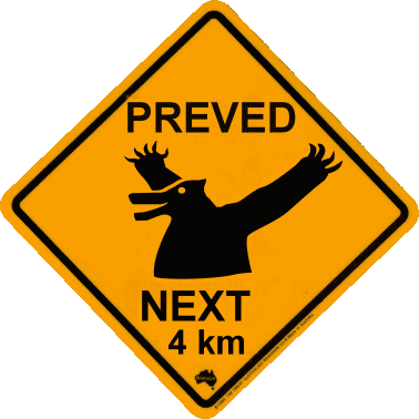 road_sign_preved.gif