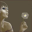 Animation1a.gif