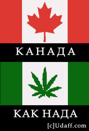 578.JPG