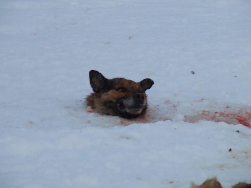 Изменение размера 2006_03140210.JPG