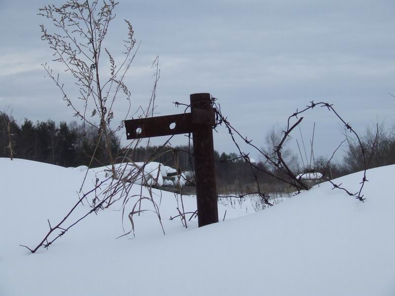 Изменение размера 2006_03140077.JPG