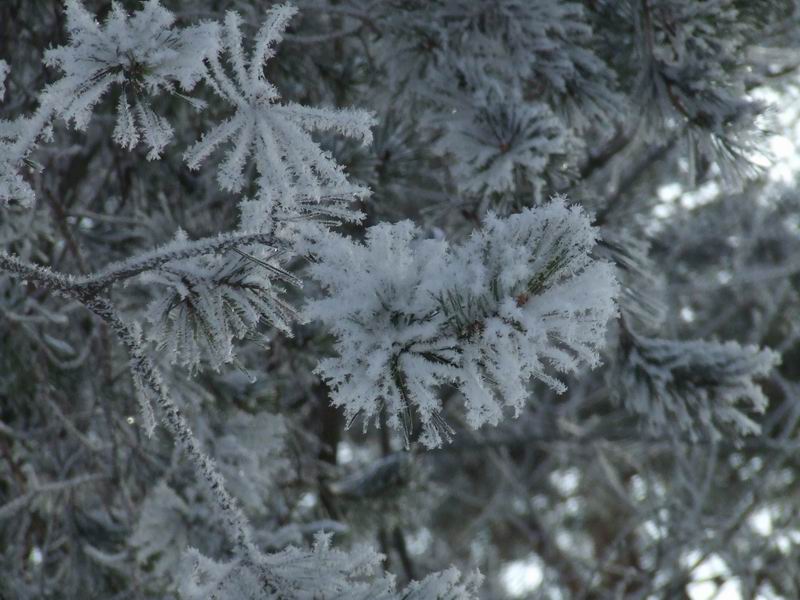 Изменение размера 2006_02180005.JPG