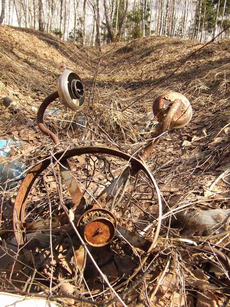 Изменение размера 2006_04220086.JPG