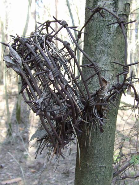 Изменение размера 2006_04270010.JPG