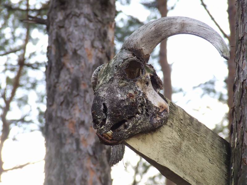 Изменение размера 2006_04240008.JPG