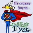 умный гусь.JPG