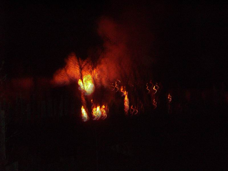 Open-air 07.05.06 006.jpg
