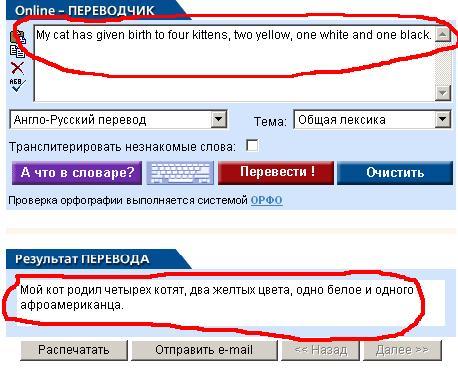 b_h38599.jpg