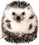 post-14-1132081166.gif