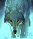 po_wolfwint_h.gif