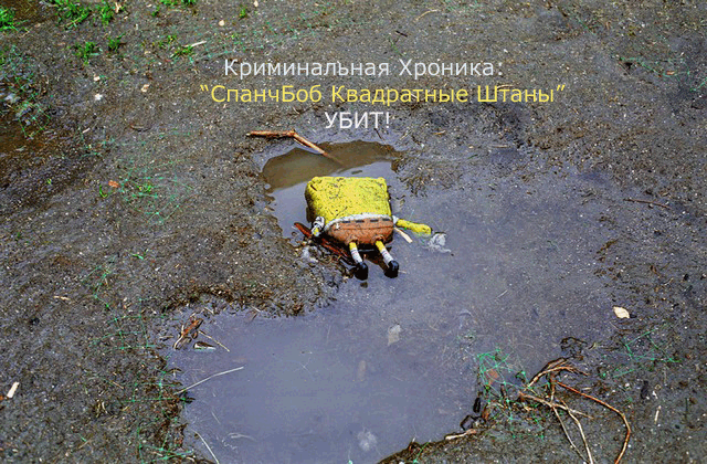спанч.gif