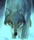 Animation8.gif