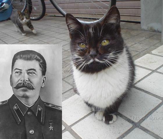 MPwZlVi7f0.jpg