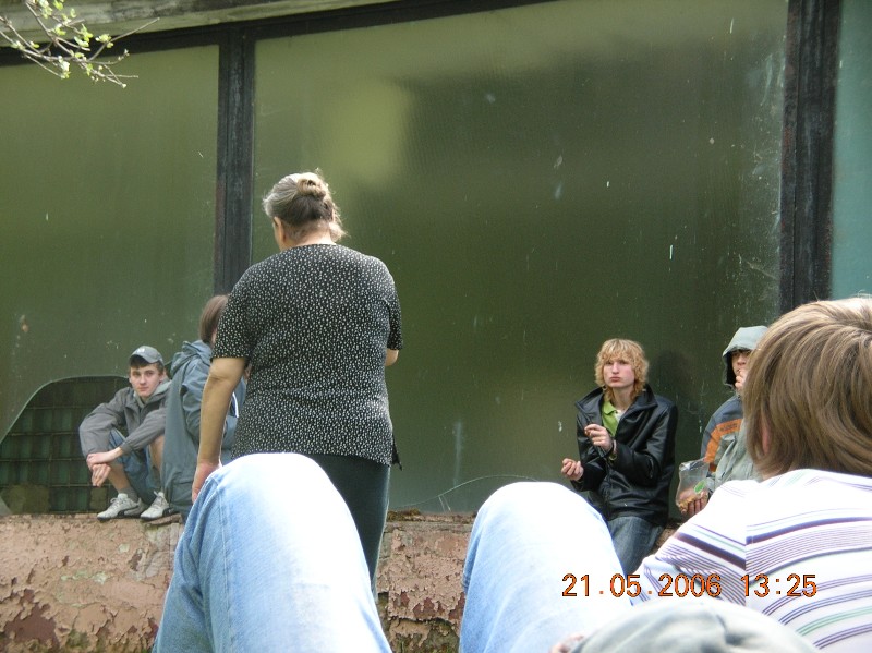 leto open air 130.jpg