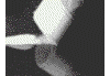 2023_114927192.gif
