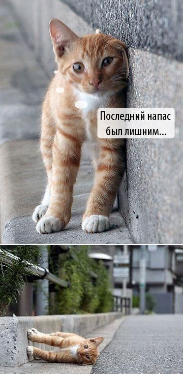 е.jpg