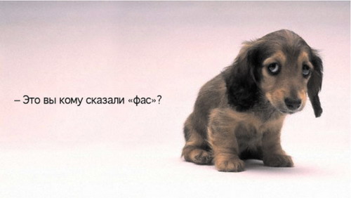 file70447.jpg