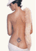 Animation.gif