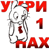 11423420862ie.gif