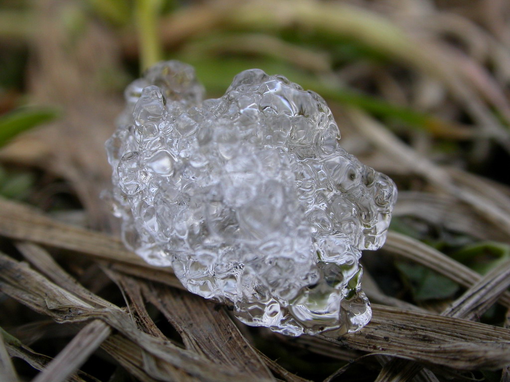DSCN4497.jpg