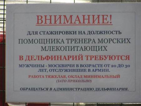 кпкпефупкпукрпфу.jpg