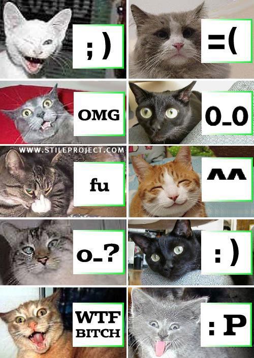 catsmiley.jpg