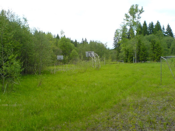 STA40979.JPG