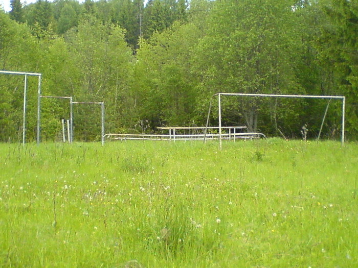 02.JPG