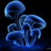 Animation2.gif