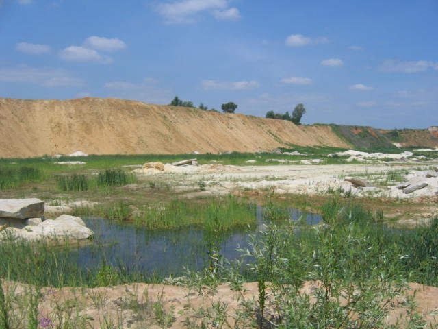 Изображение 279.jpg