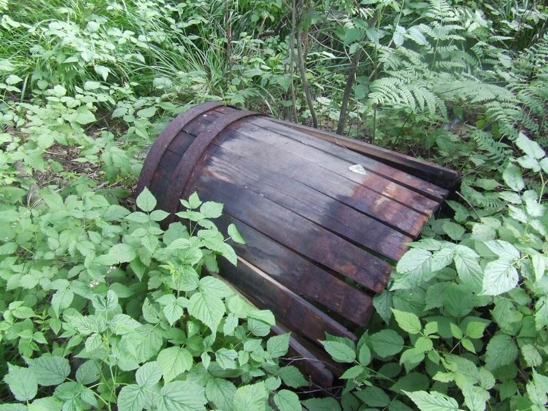 Изменение размера 2006_06280018.JPG