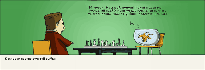 strips_09.gif