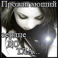 8674303_LAVESUP.gif