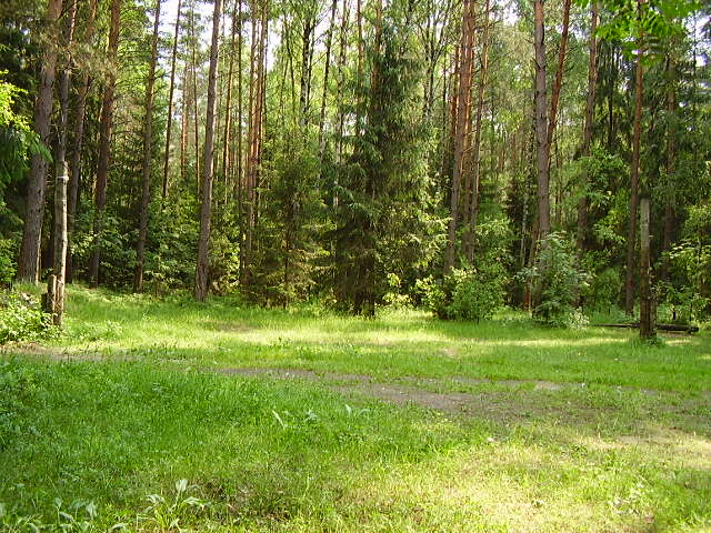Чилаут