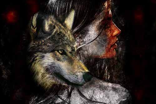 wolfsblut500.jpg