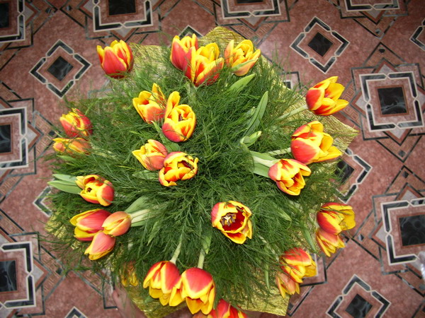 IMGP0915.jpg