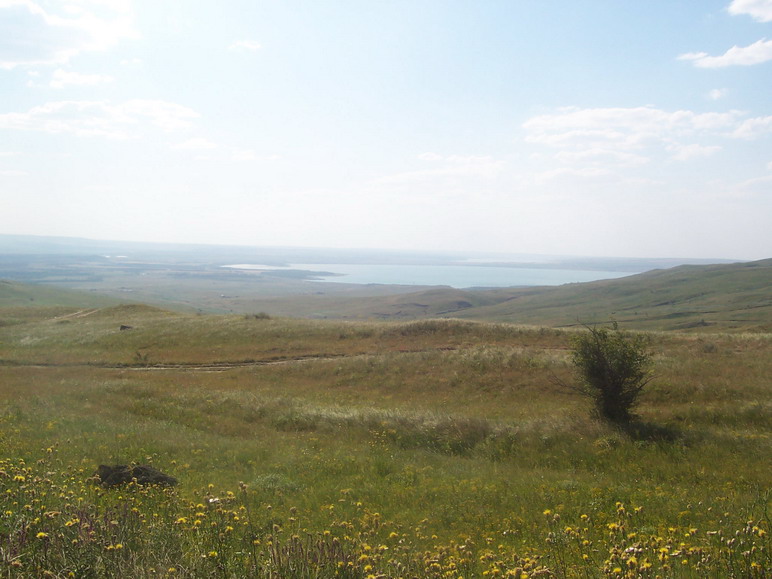 100_6716.jpg