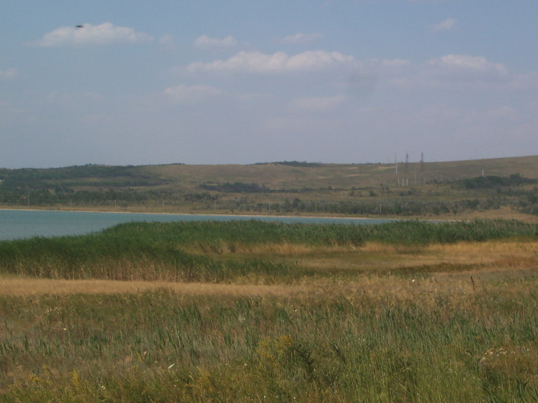 100_6711.jpg