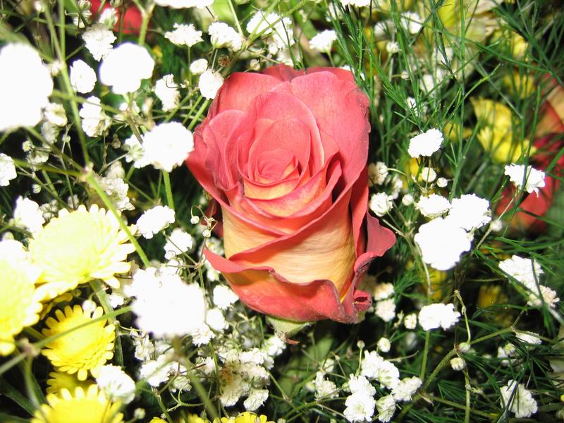 Изменение размера Копия IMG_1414.JPG