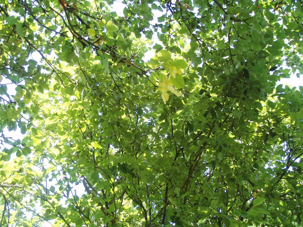 08.07-11.07 048.jpg