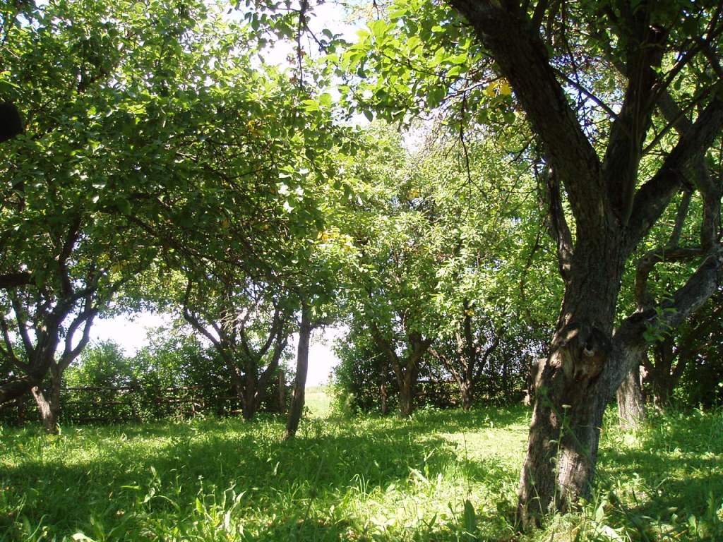 08.07-11.07 047.jpg