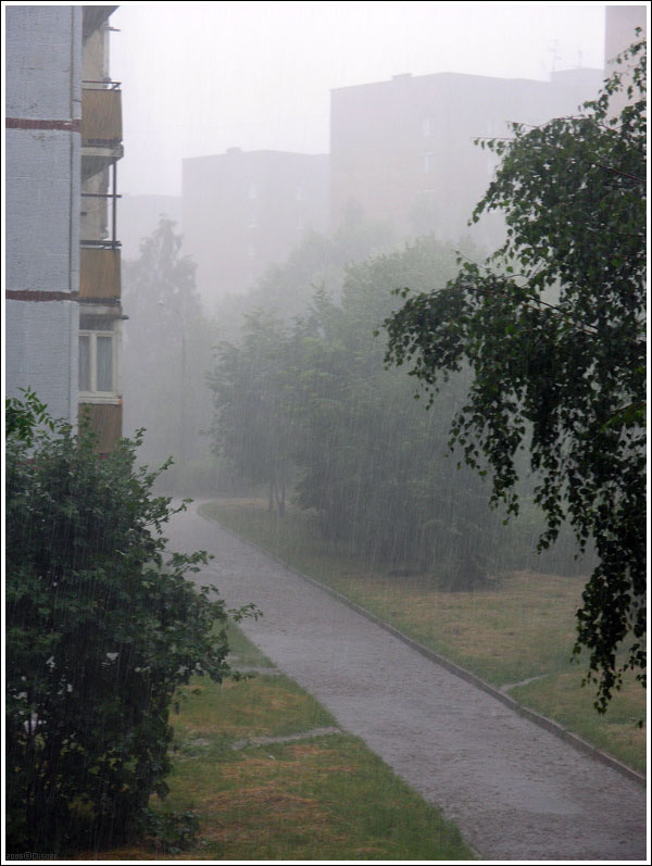 118.jpg