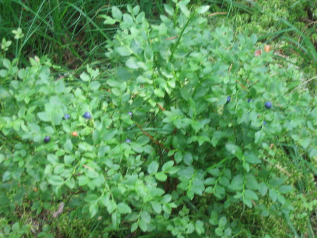 Изображение 864.jpg