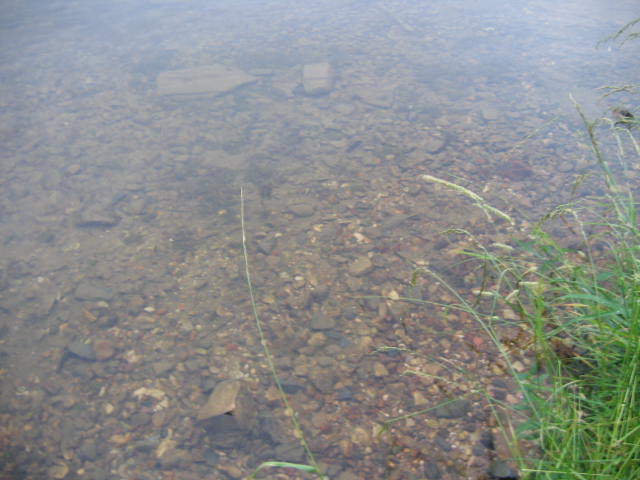 Изображение 745.jpg